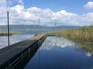 Meet your Posher, Arda